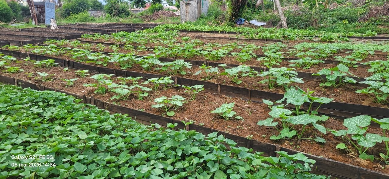Jardin communautaire aménagé